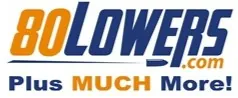 80 Percent Lowers